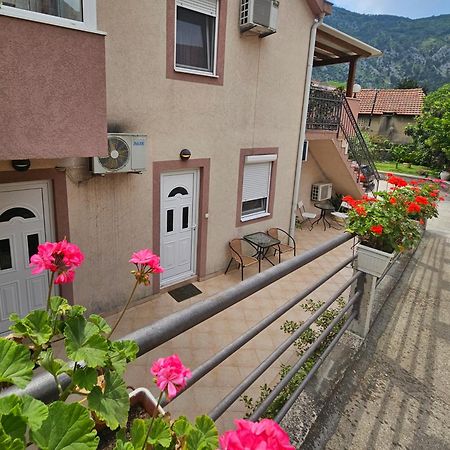 Apartment Aleksandar Kotor Exterior photo